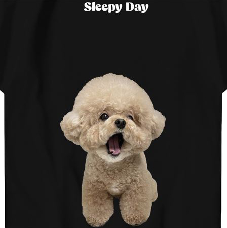 Hi VABA Oversized Sleepy Poodle Tshirt | Kaos Streetwear Unisex Tee