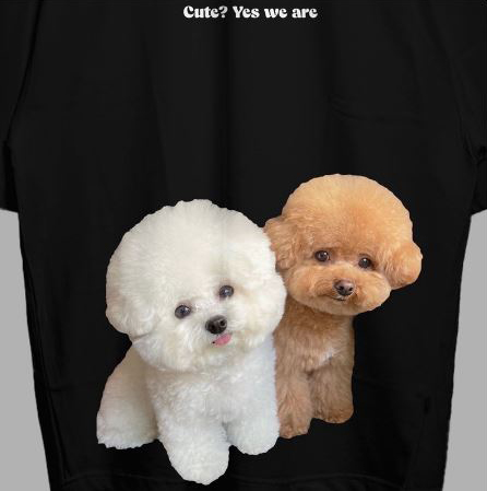 VABA Oversized Poodle n Bichon Tshirt | Kaos Streetwear Unisex Tee