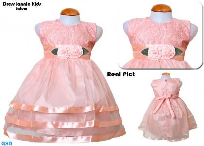 Dress Jannie kids salem