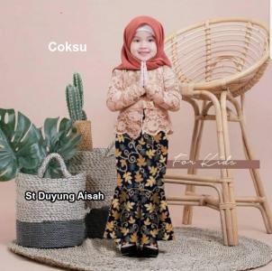 Set Rok Aisah Coksu